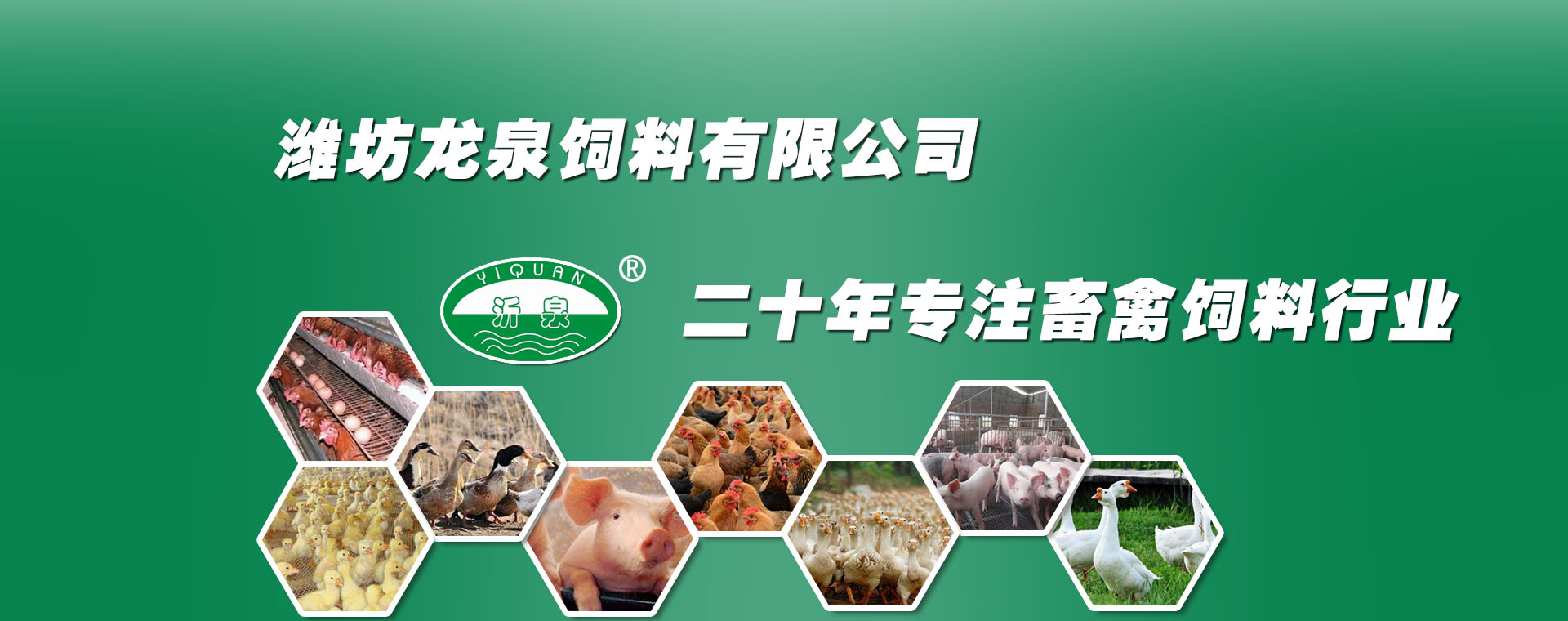 55世纪-追求康健,你我一起生长