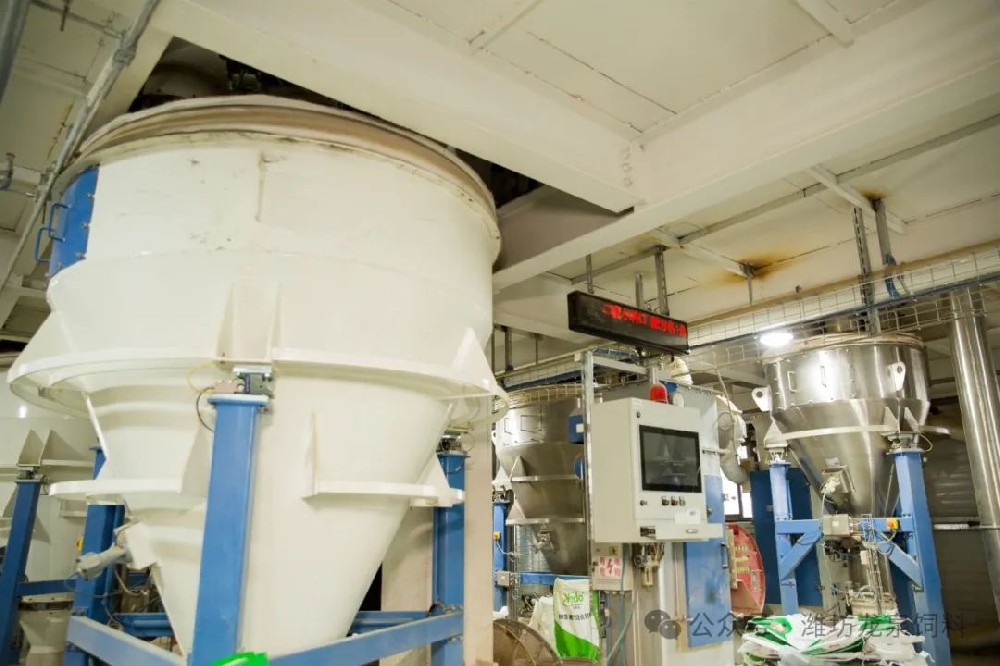 55世纪-追求康健,你我一起生长